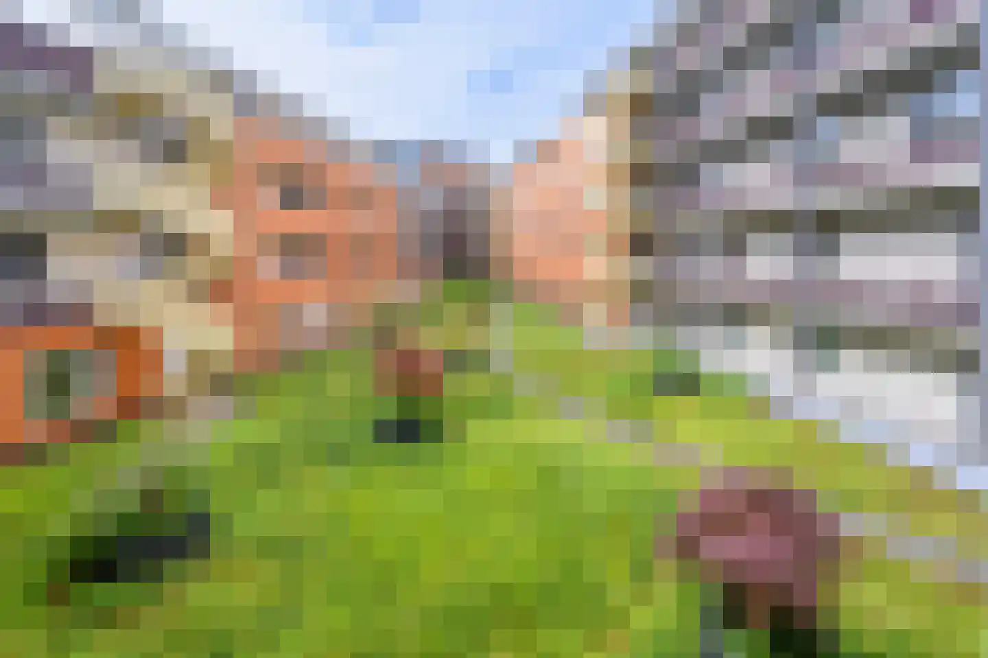 Veerpoortdijk 43 Doesburg thumbnail 27