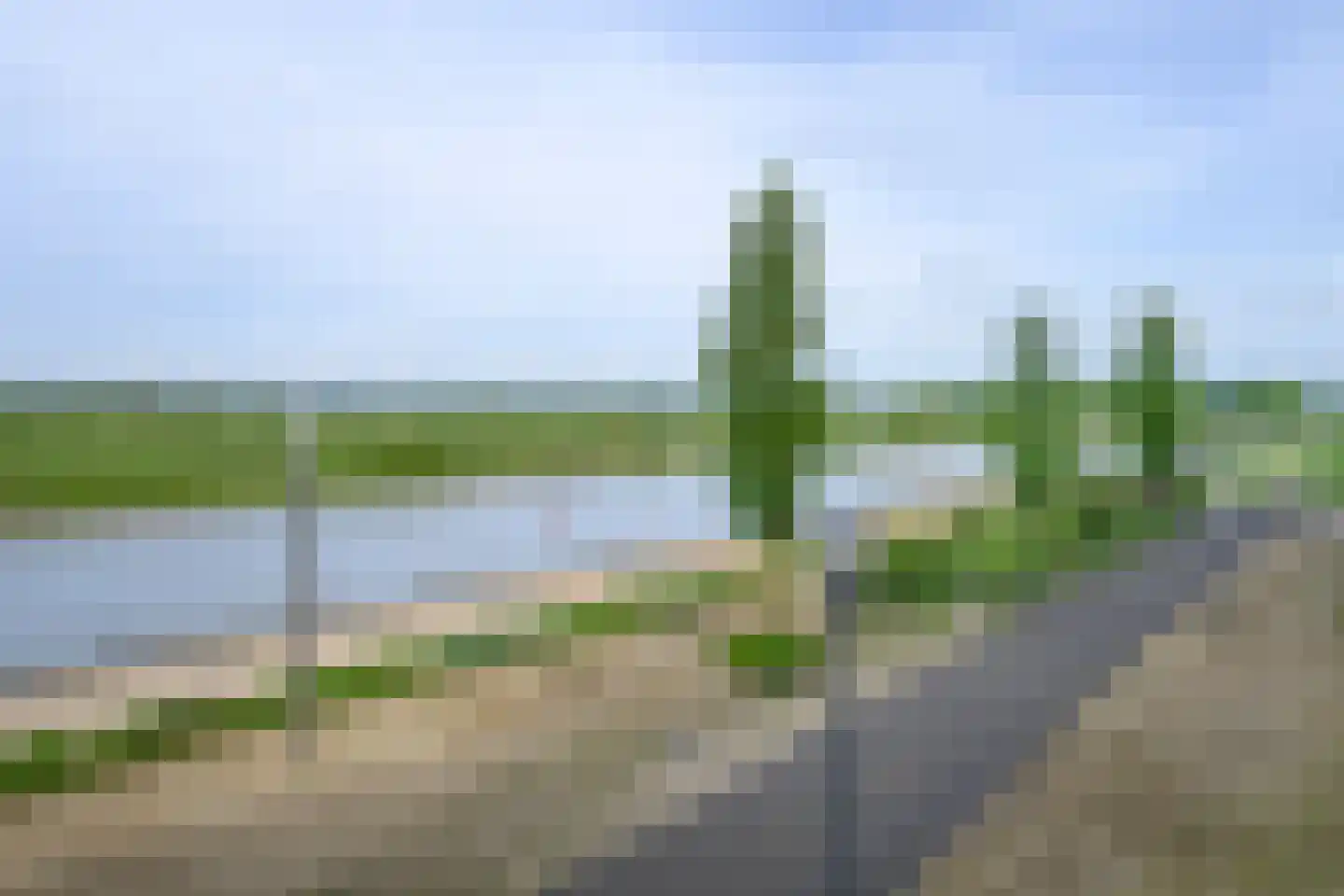 Veerpoortdijk 43 Doesburg thumbnail 39