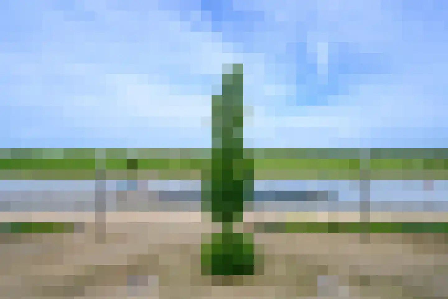 Veerpoortdijk 43 Doesburg thumbnail 40