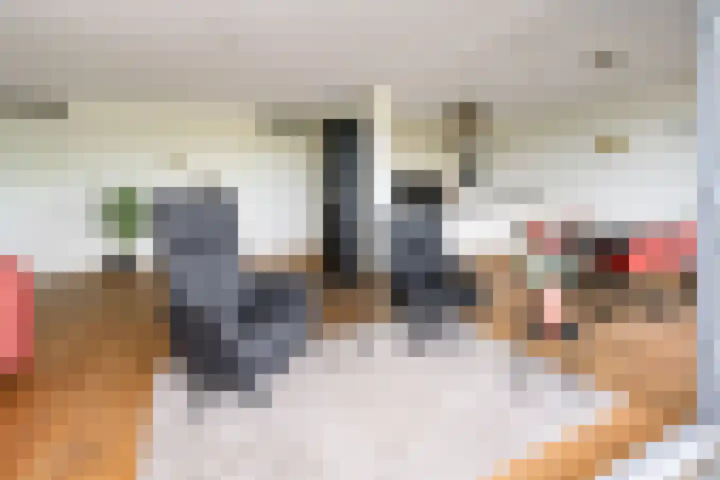 Veerpoortdijk 43 Doesburg thumbnail 9