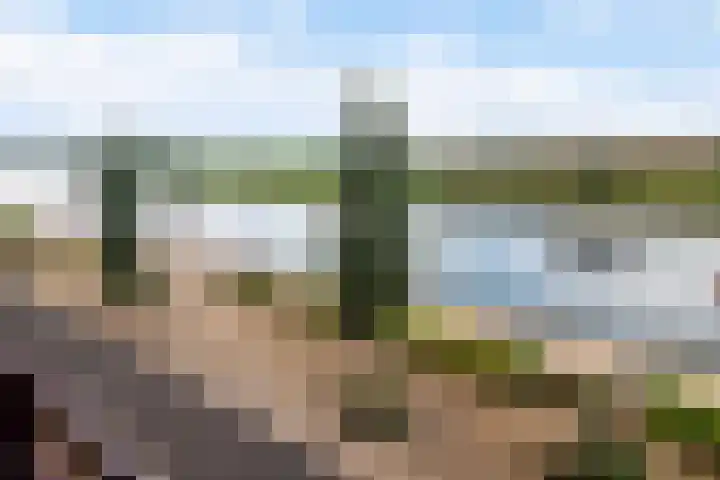 Veerpoortdijk 71 Doesburg thumbnail 16