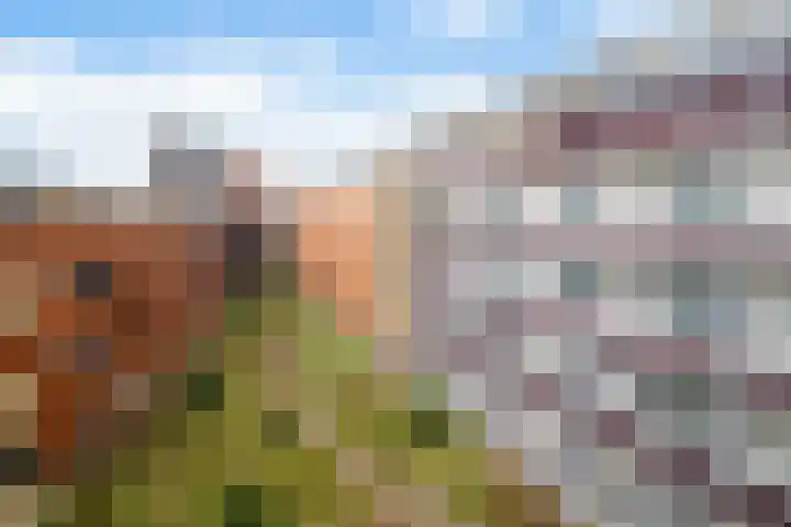 Veerpoortdijk 71 Doesburg thumbnail 24