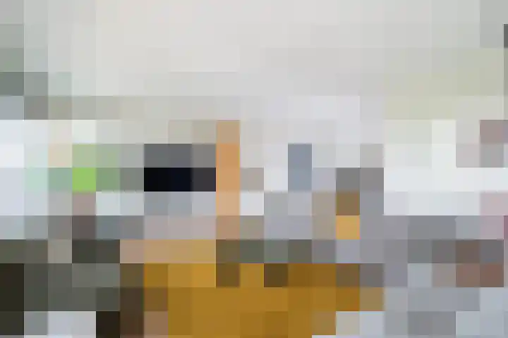 Veerpoortdijk 71 Doesburg thumbnail 7