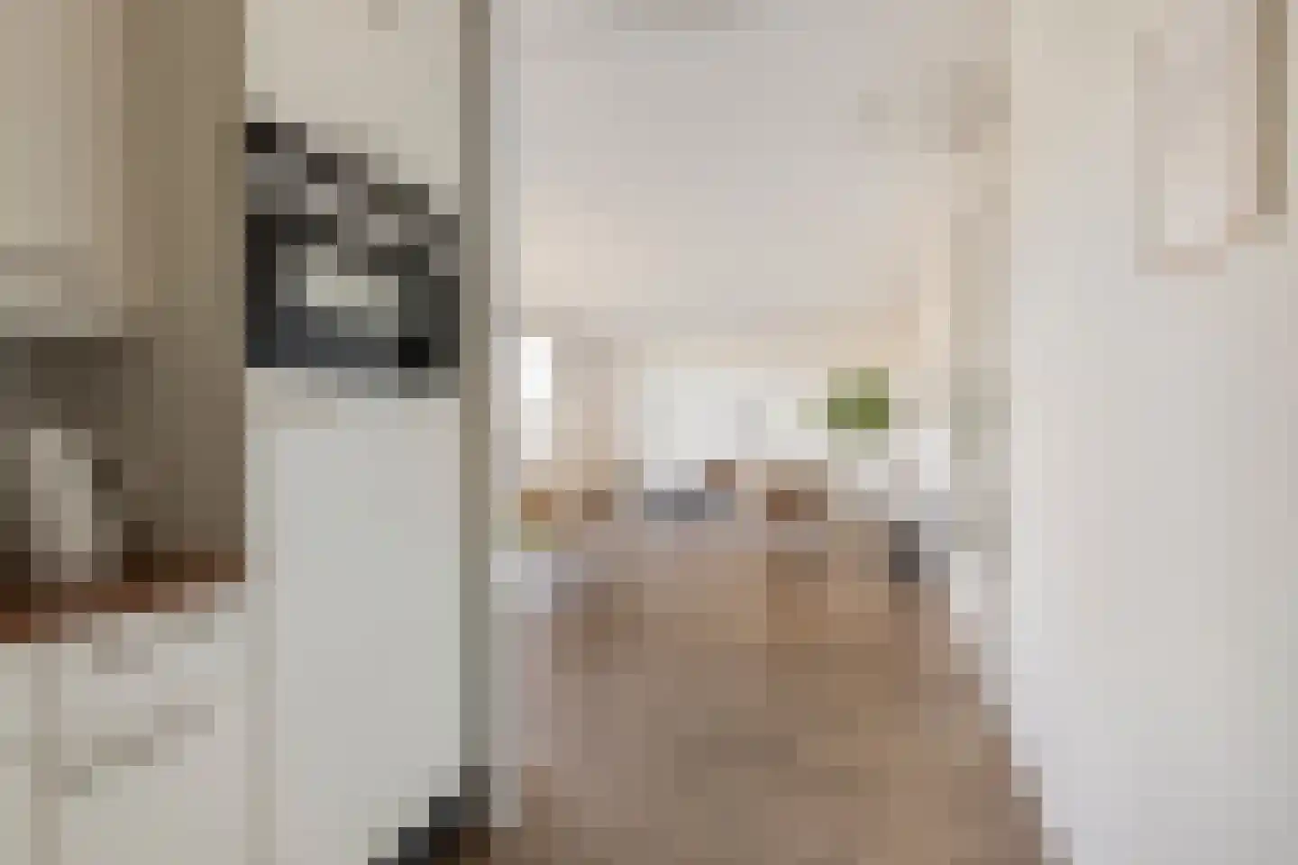 Veerpoortdijk 77 Doesburg thumbnail 17