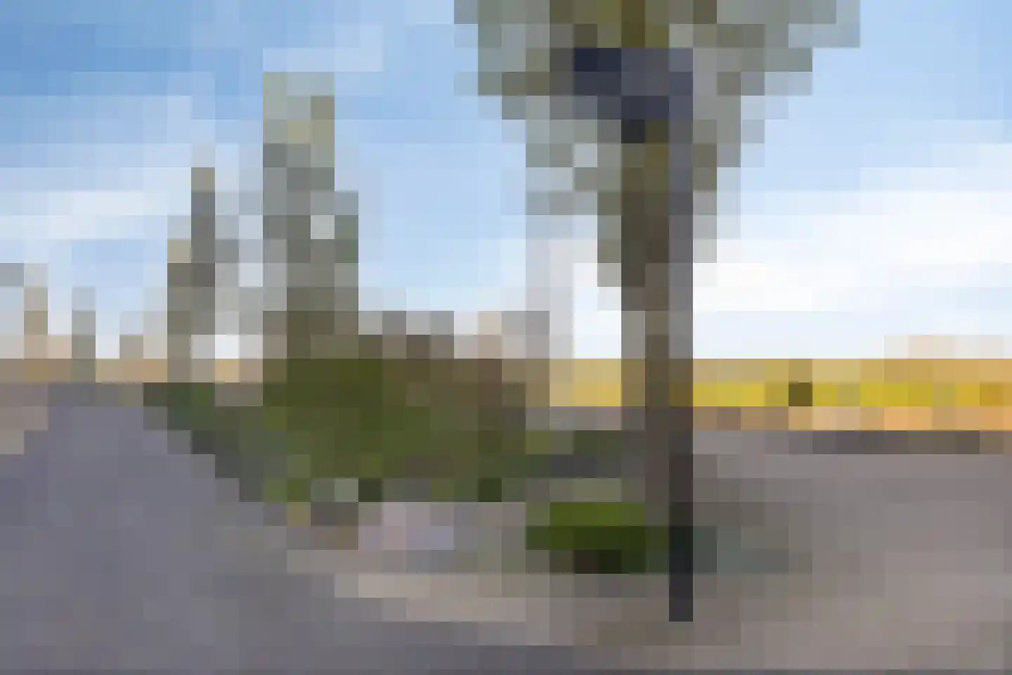 Veerpoortdijk 77 Doesburg thumbnail 32