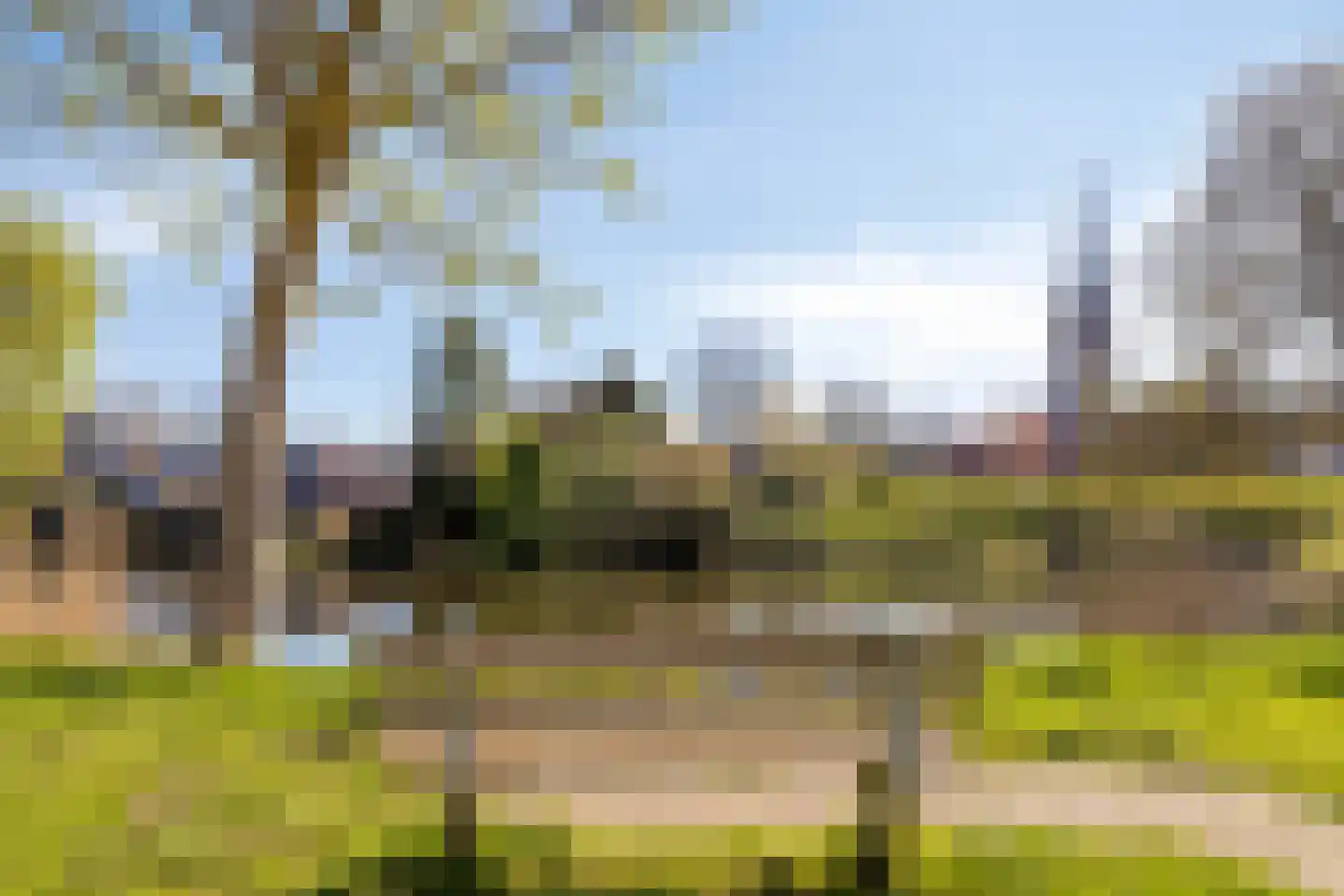 Veerpoortdijk 77 Doesburg thumbnail 35