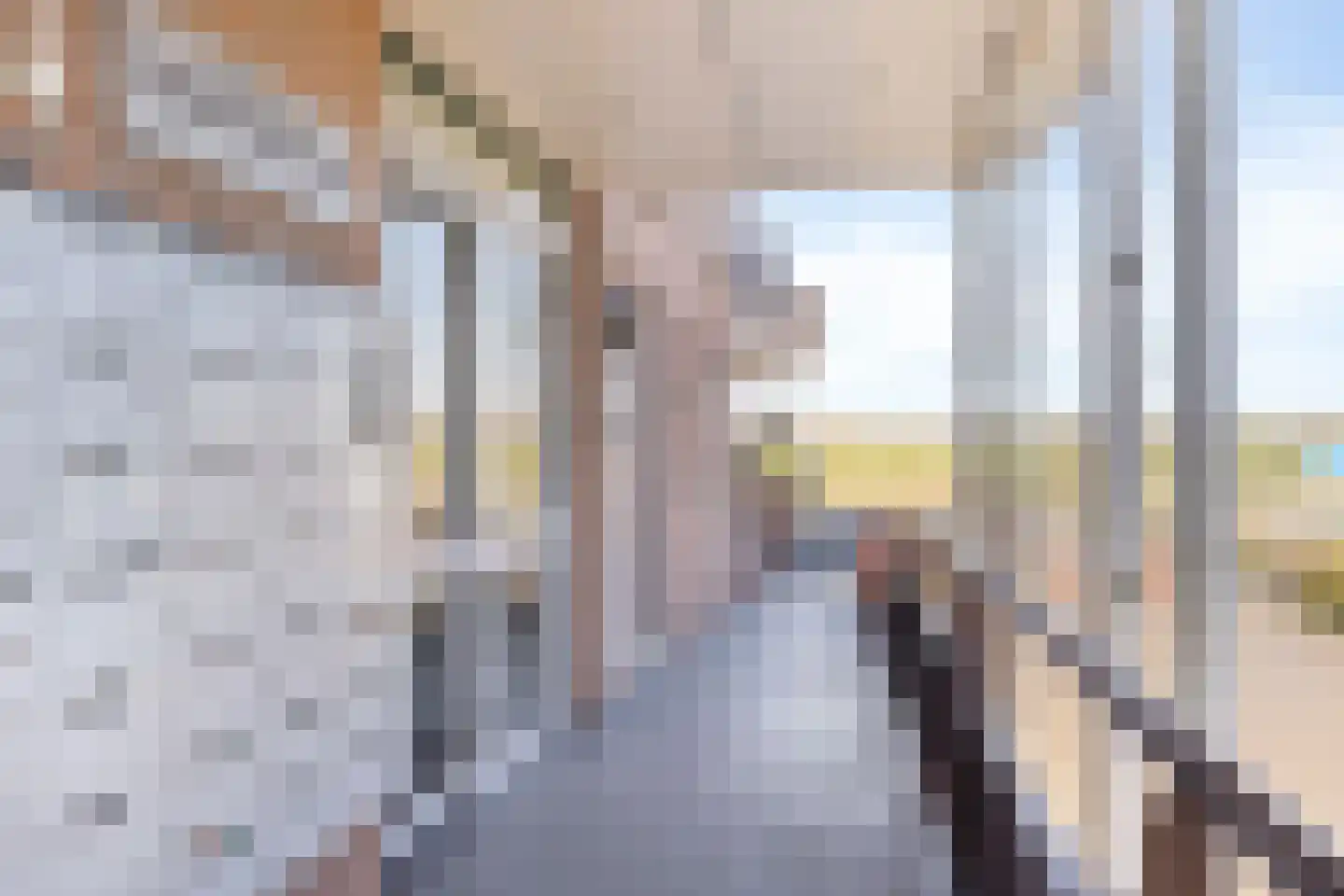 Veerpoortdijk 77 Doesburg thumbnail 37