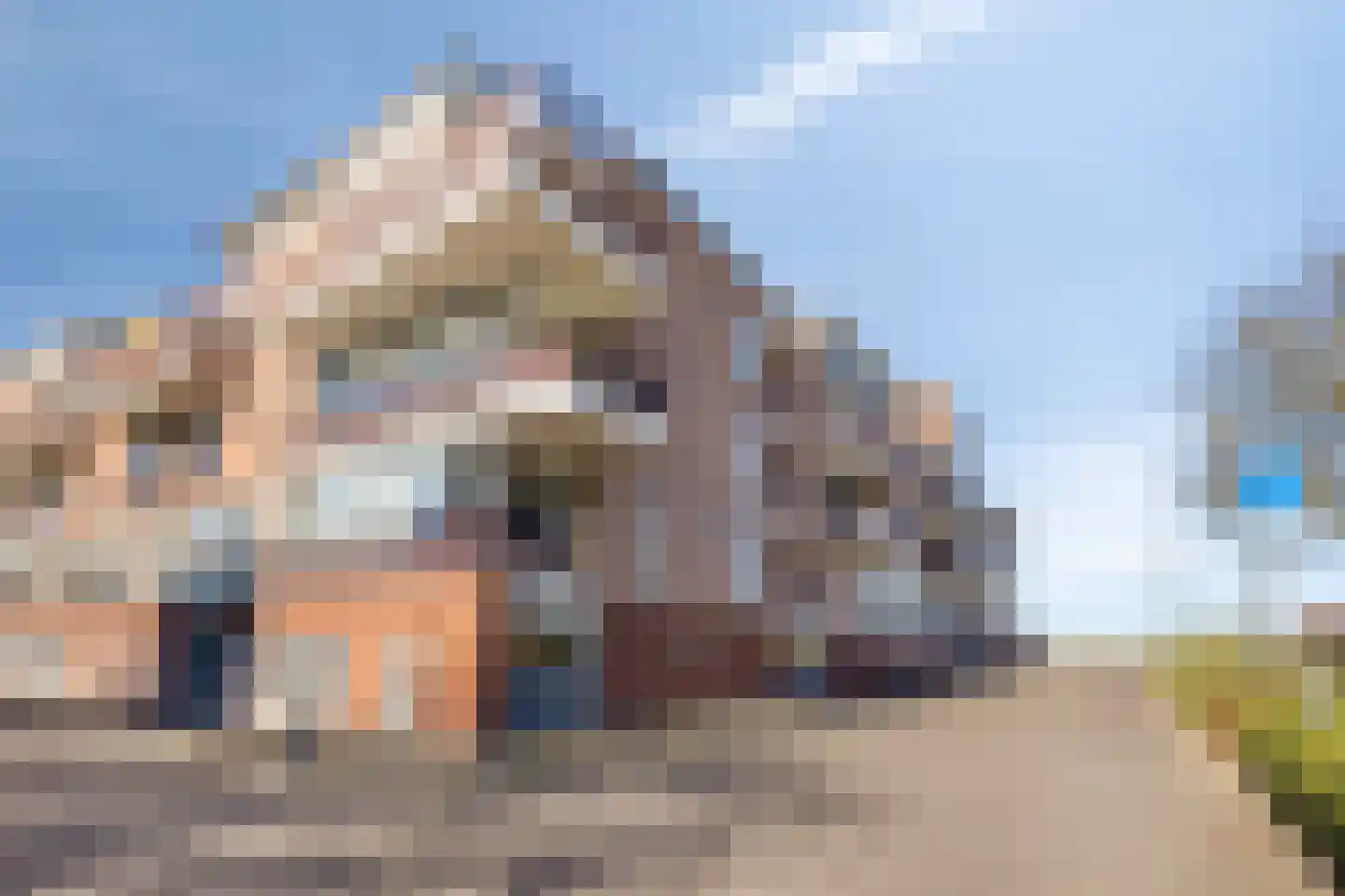 Veerpoortdijk 77 Doesburg thumbnail 40