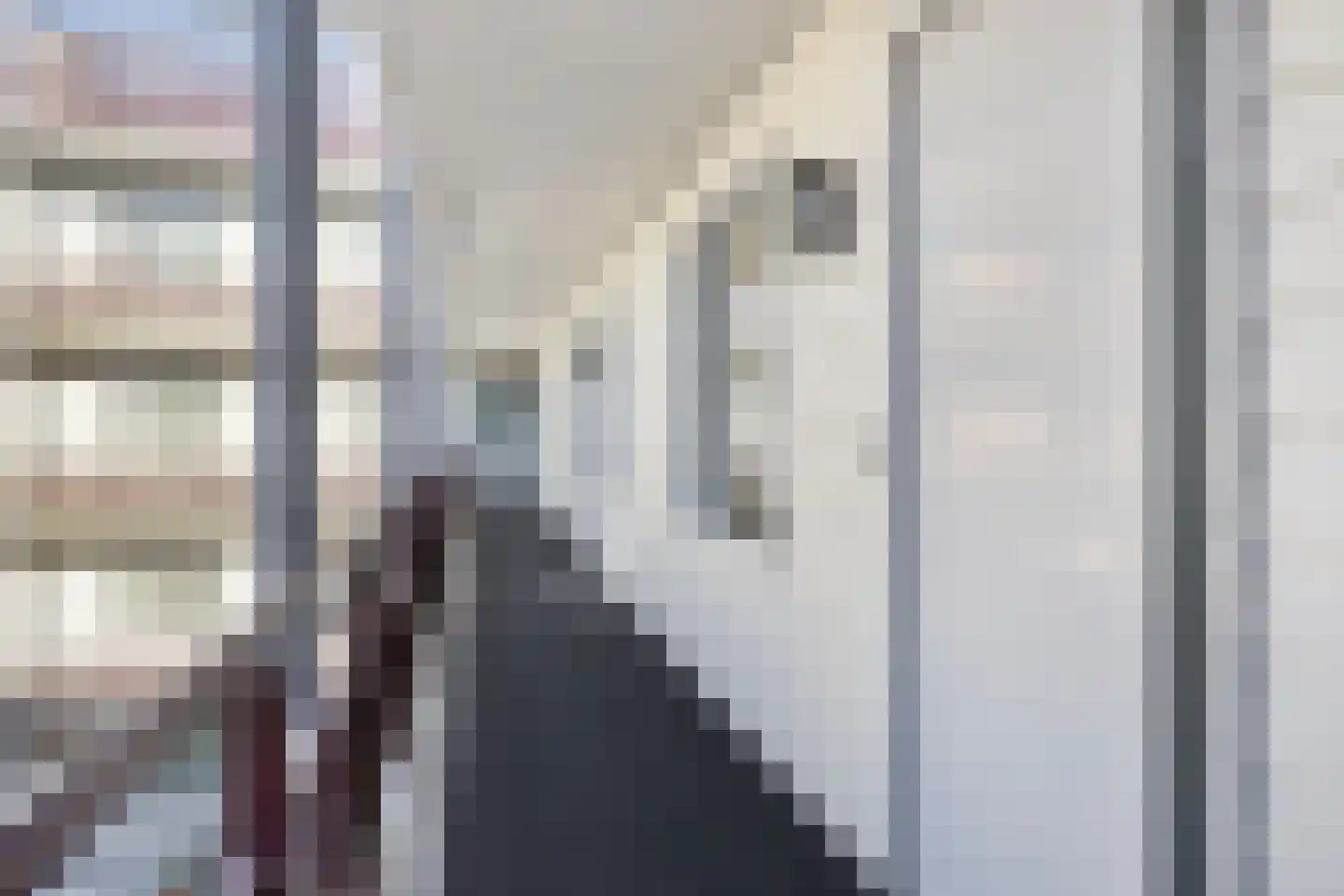 Veerpoortdijk 77 Doesburg thumbnail 5