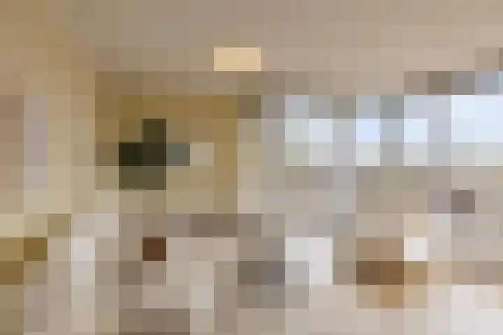 Veerpoortdijk 79 Doesburg thumbnail 10