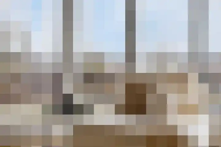 Veerpoortdijk 79 Doesburg thumbnail 13