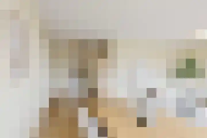 Veerpoortdijk 79 Doesburg thumbnail 17