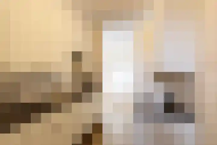Veerpoortdijk 79 Doesburg thumbnail 20
