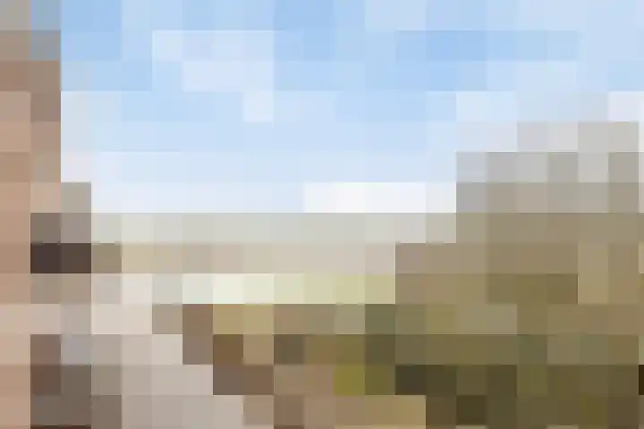 Veerpoortdijk 79 Doesburg thumbnail 34