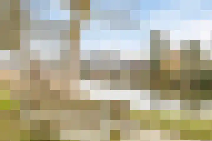 Veerpoortdijk 79 Doesburg thumbnail 35