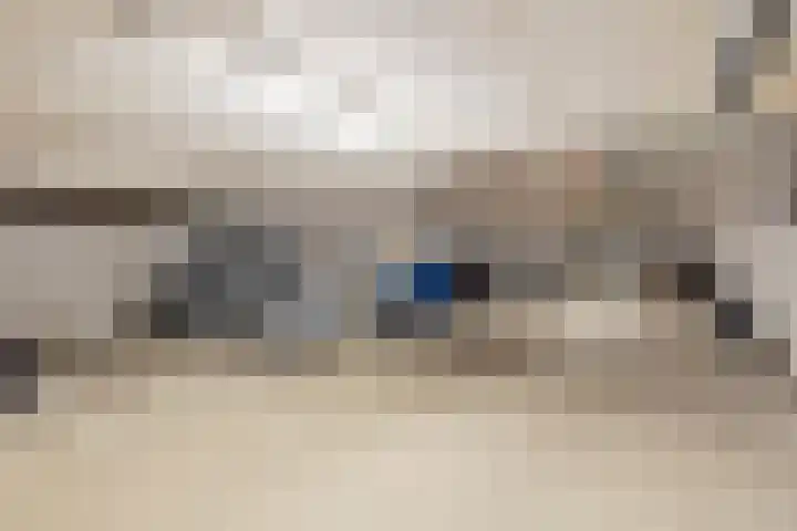 Veerpoortdijk 79 Doesburg thumbnail 36