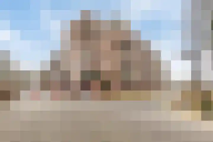Veerpoortdijk 79 Doesburg thumbnail 38