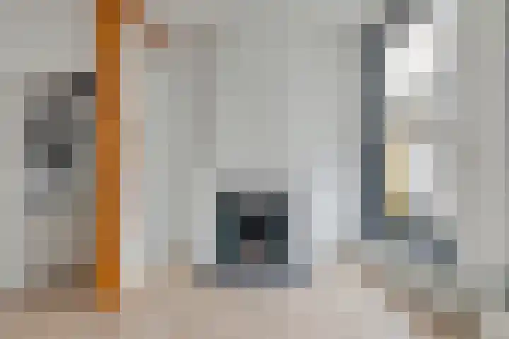Veerpoortstraat 1 Doesburg thumbnail 22