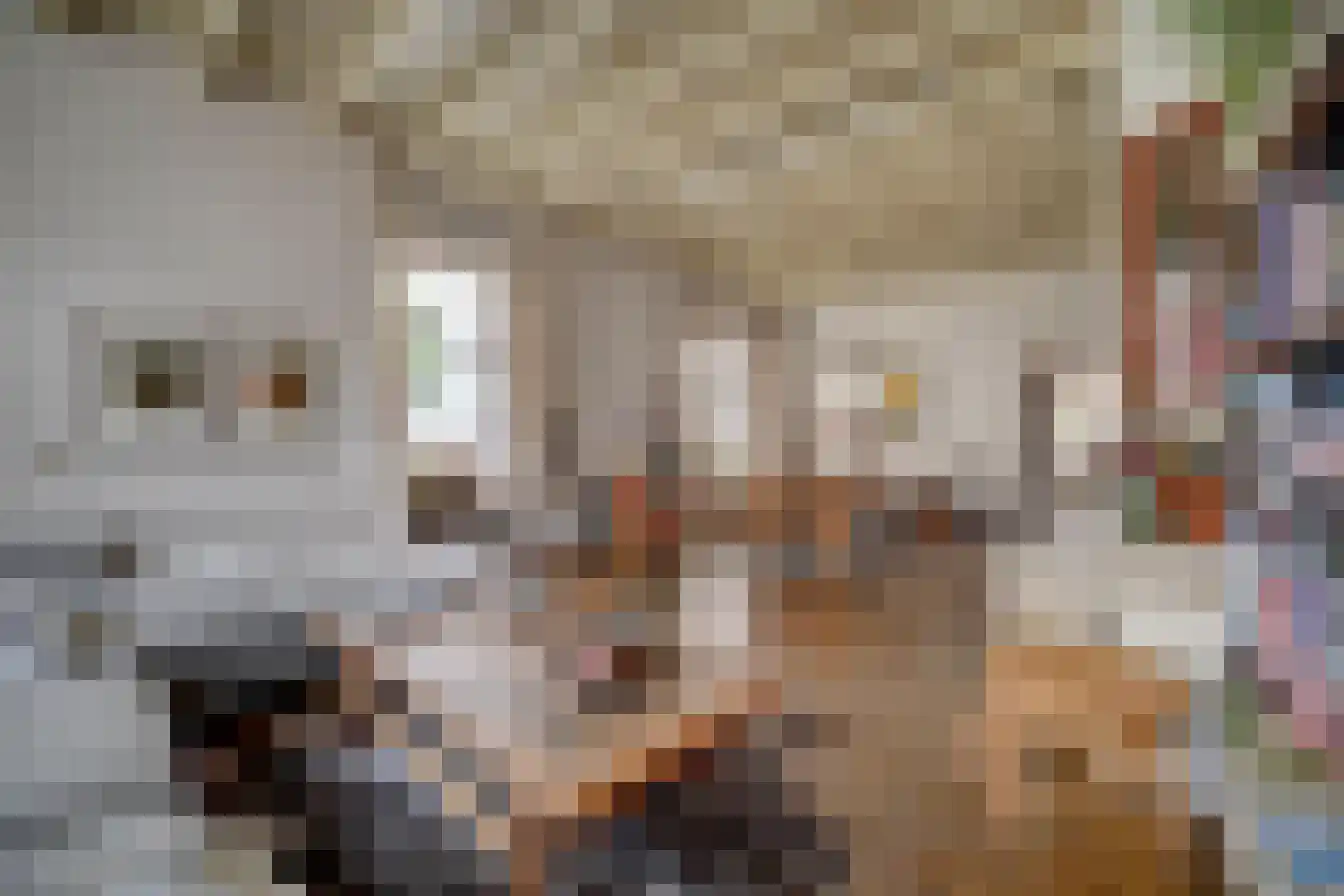 Veerpoortstraat 9 Doesburg thumbnail 11