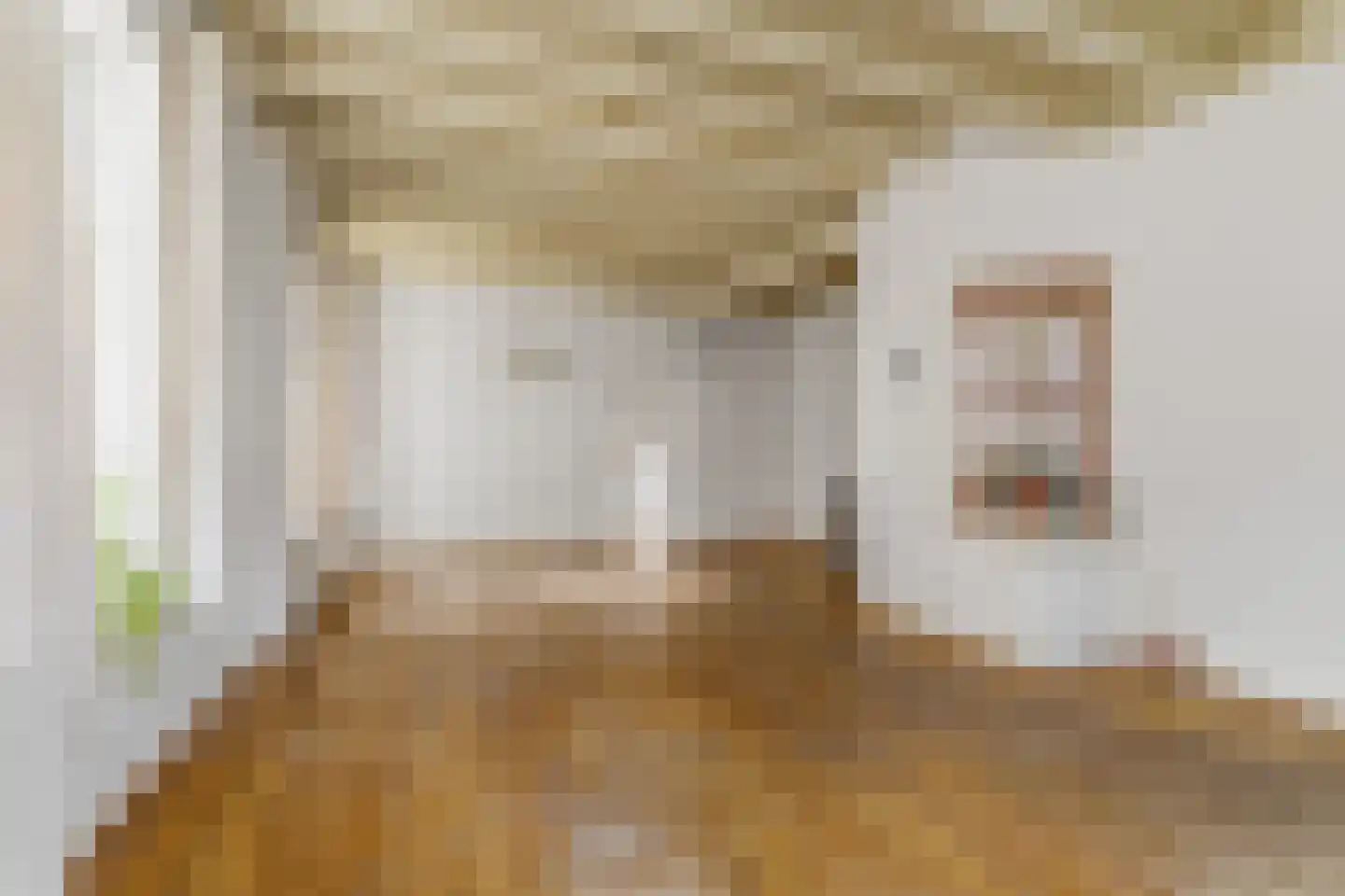 Veerpoortstraat 9 Doesburg thumbnail 12