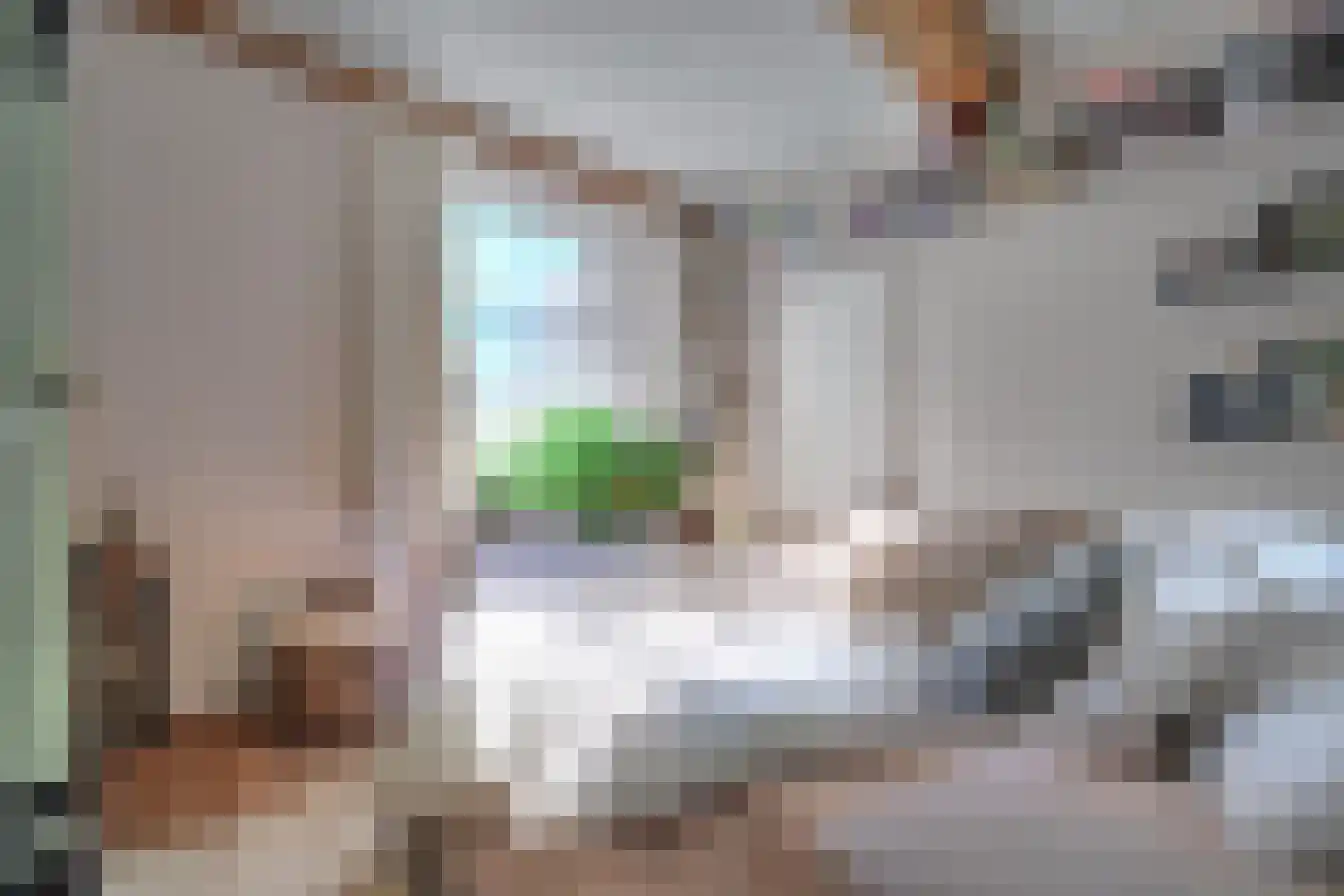 Veerpoortstraat 9 Doesburg thumbnail 17