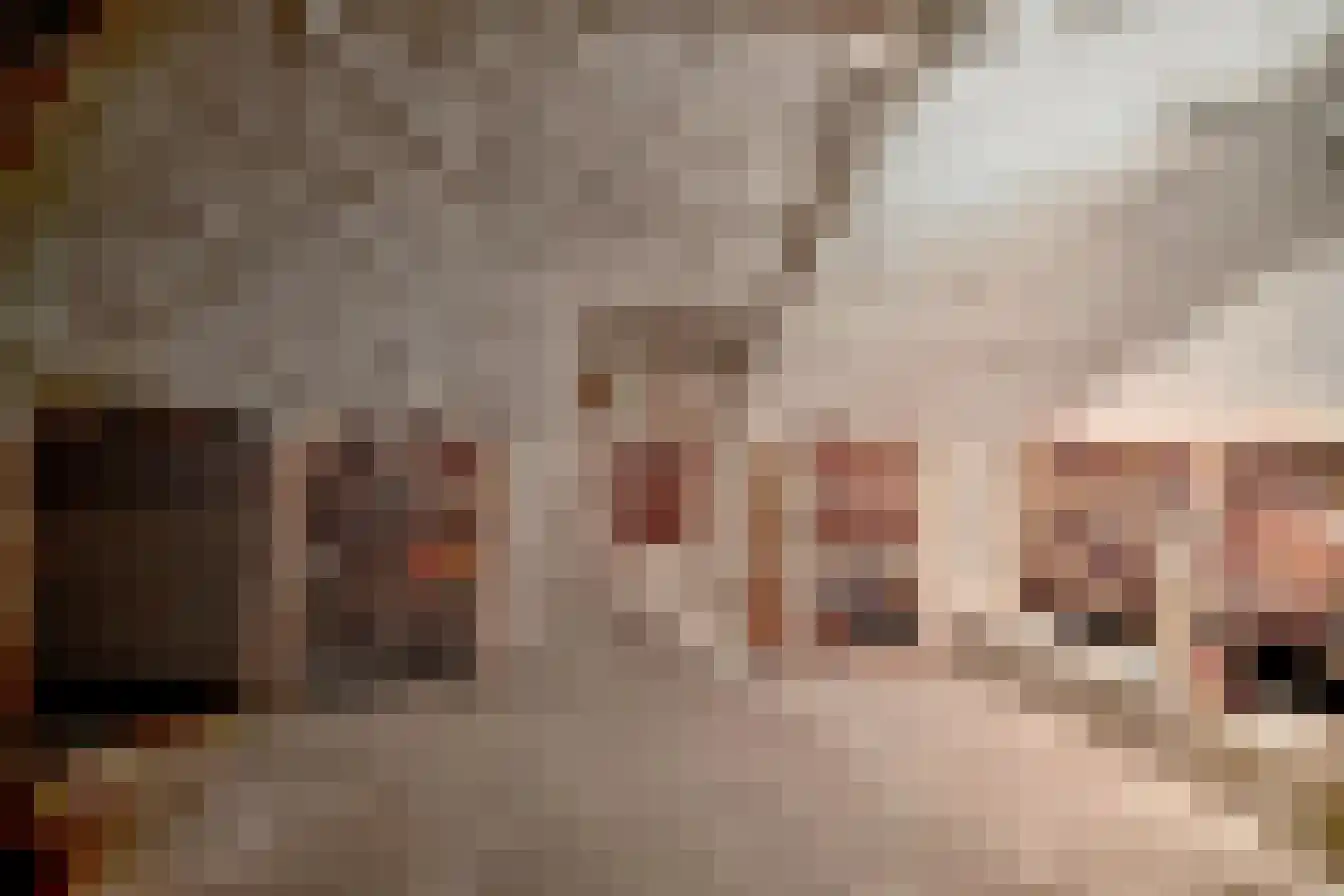 Veerpoortstraat 9 Doesburg thumbnail 23