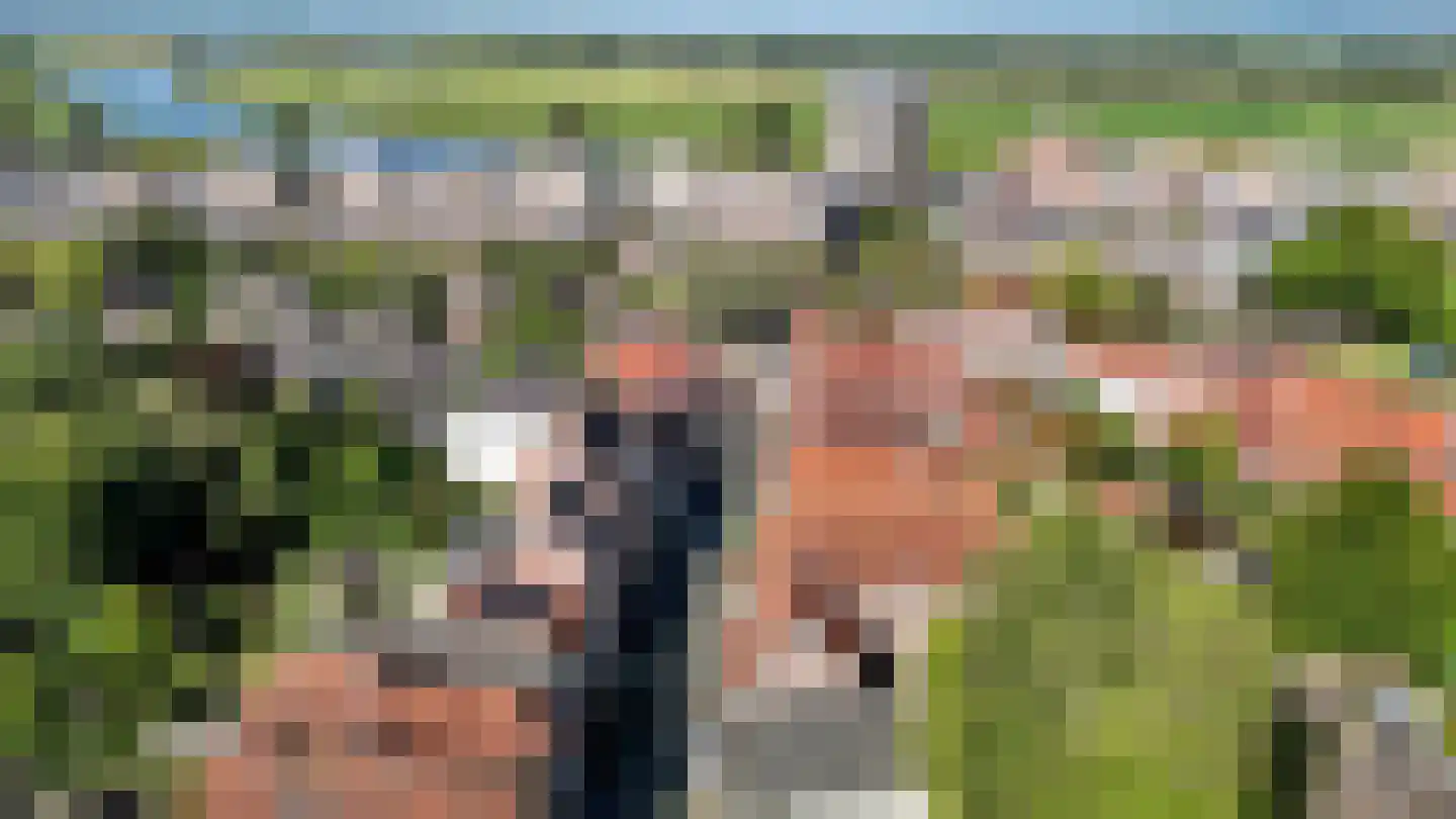 Veerpoortstraat 9 Doesburg thumbnail 28