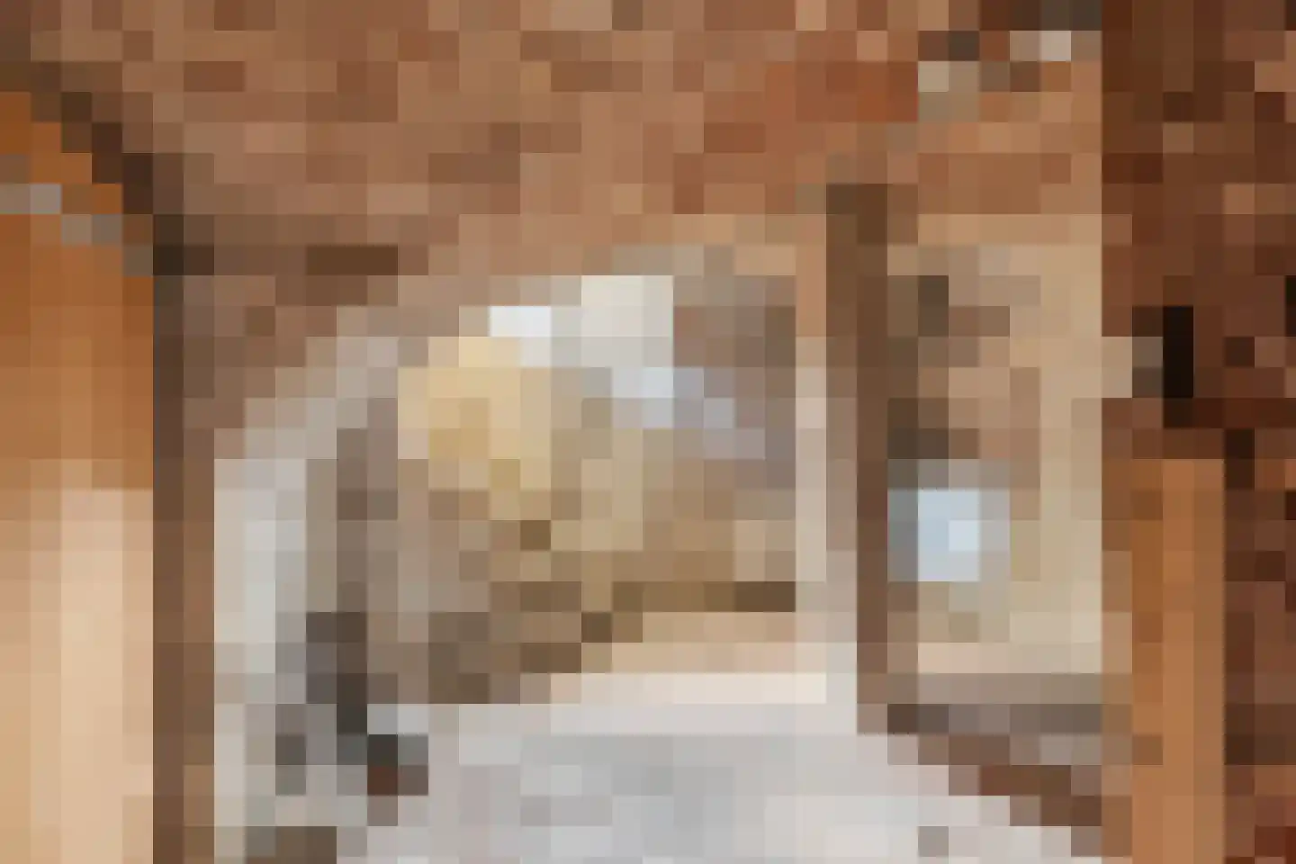 Veerpoortstraat 9 Doesburg thumbnail 48