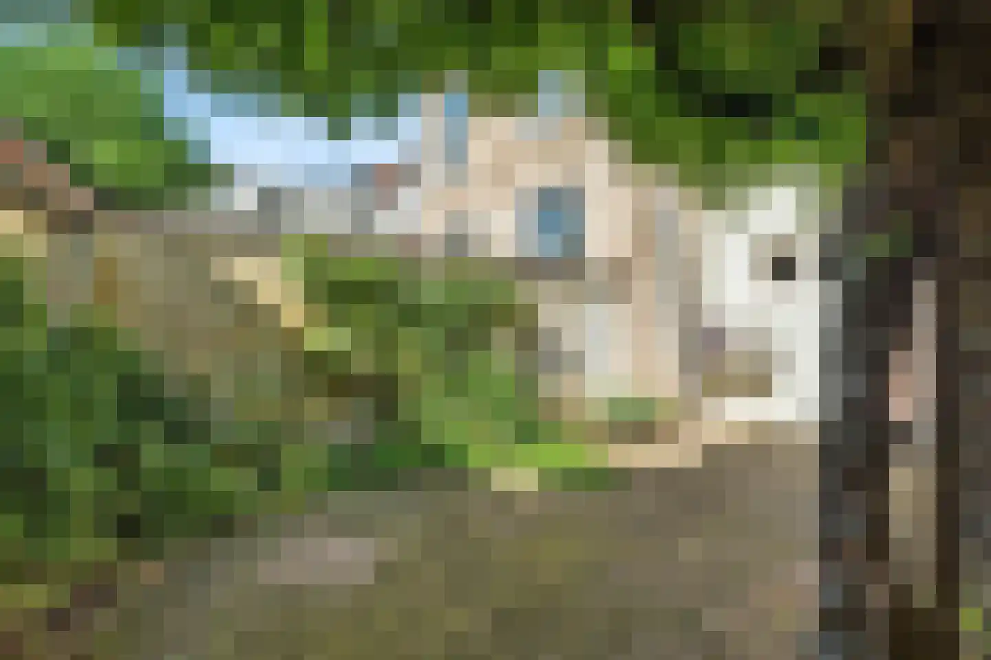 Veerpoortstraat 9 Doesburg thumbnail 51
