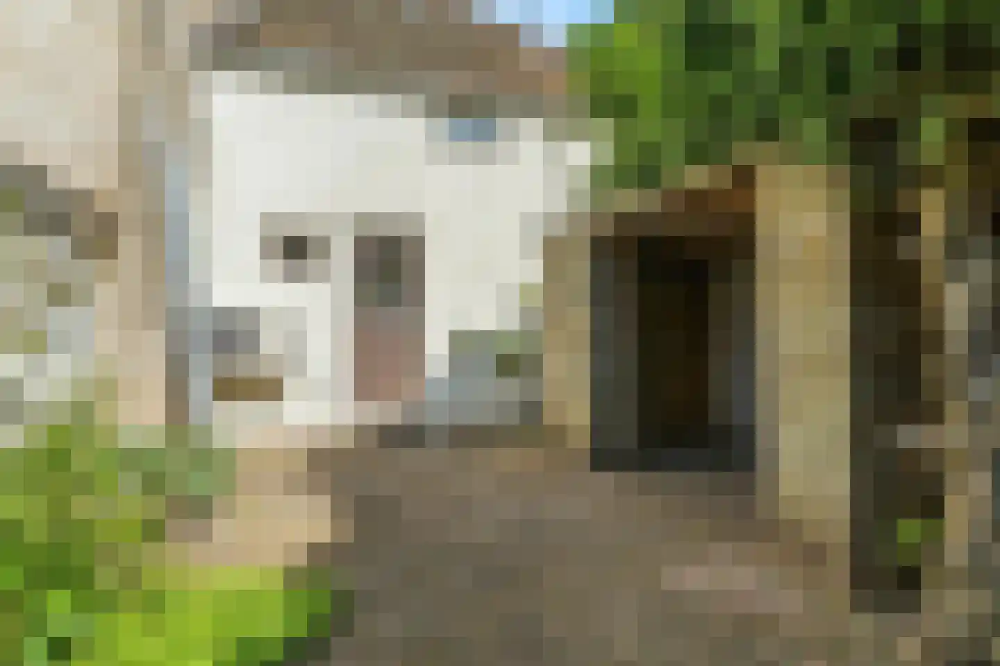 Veerpoortstraat 9 Doesburg thumbnail 52