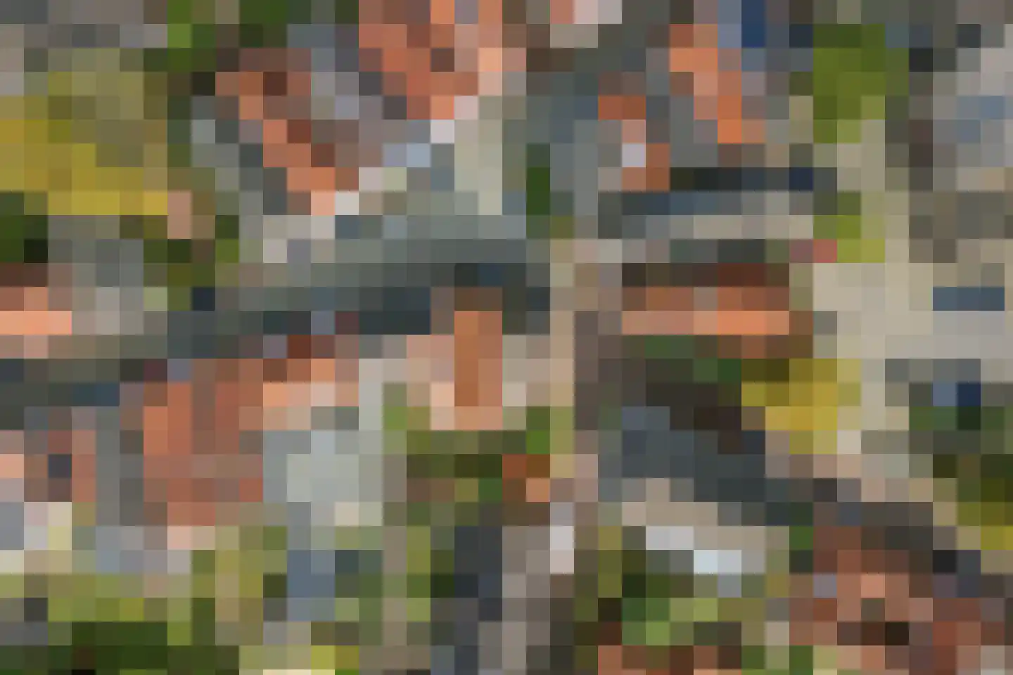 Veerpoortstraat 9 Doesburg thumbnail 56