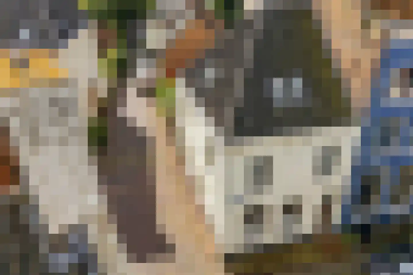 Veerpoortstraat 9 Doesburg thumbnail 7