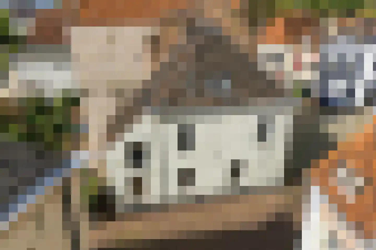 Veerpoortstraat 9 Doesburg thumbnail 8