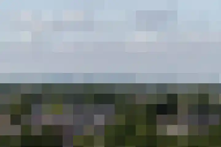 Veerpromenade 169 Papendrecht thumbnail 28