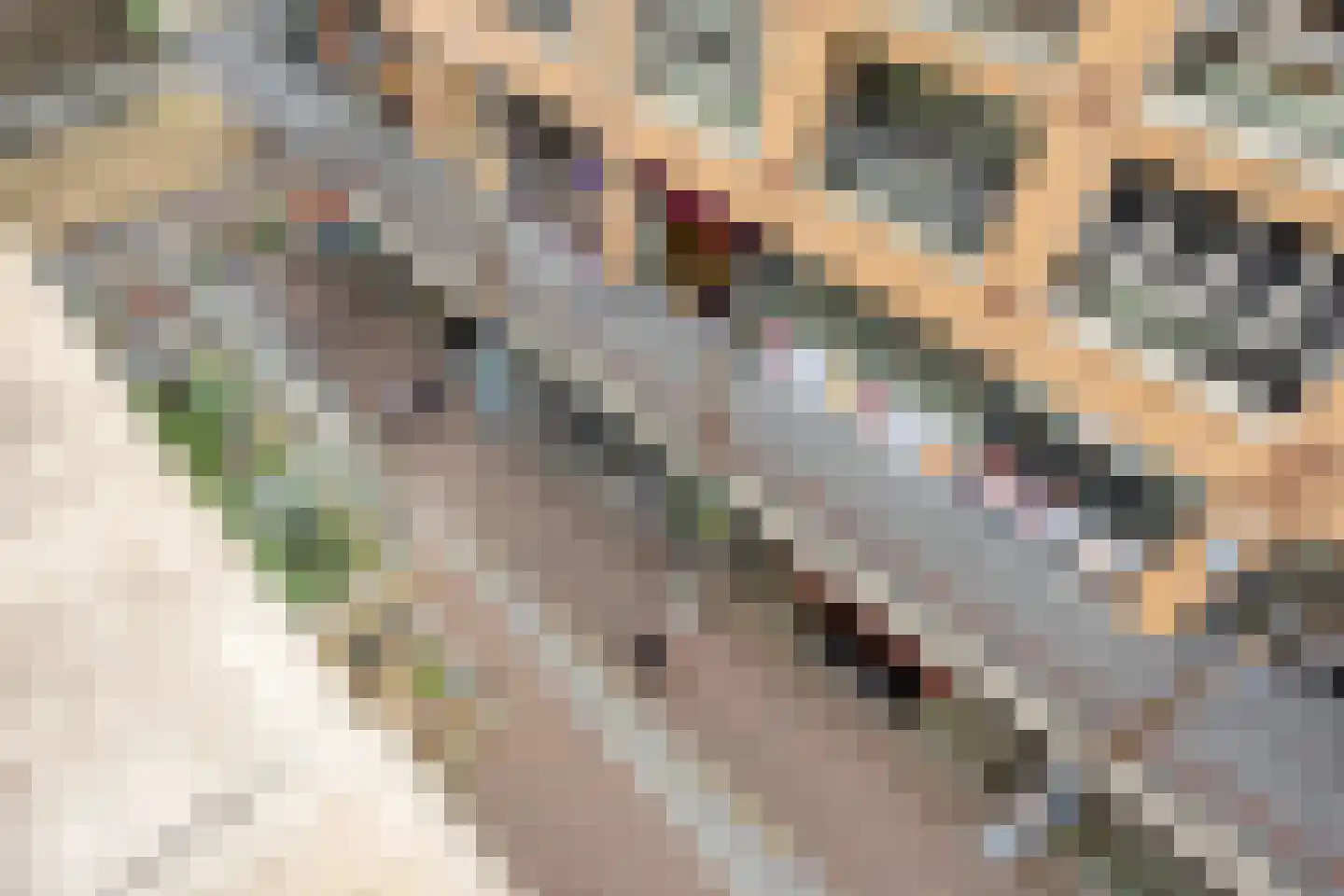Veerpromenade 194 Papendrecht thumbnail 23