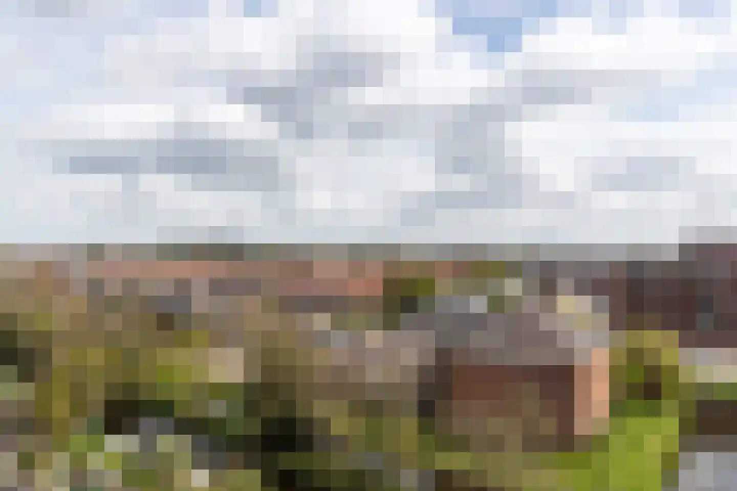 Veerpromenade 200 Papendrecht thumbnail 4