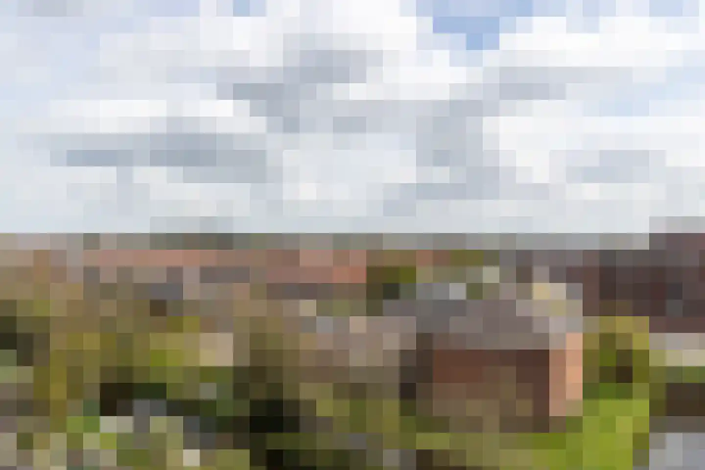 Veerpromenade 200 Papendrecht thumbnail 4