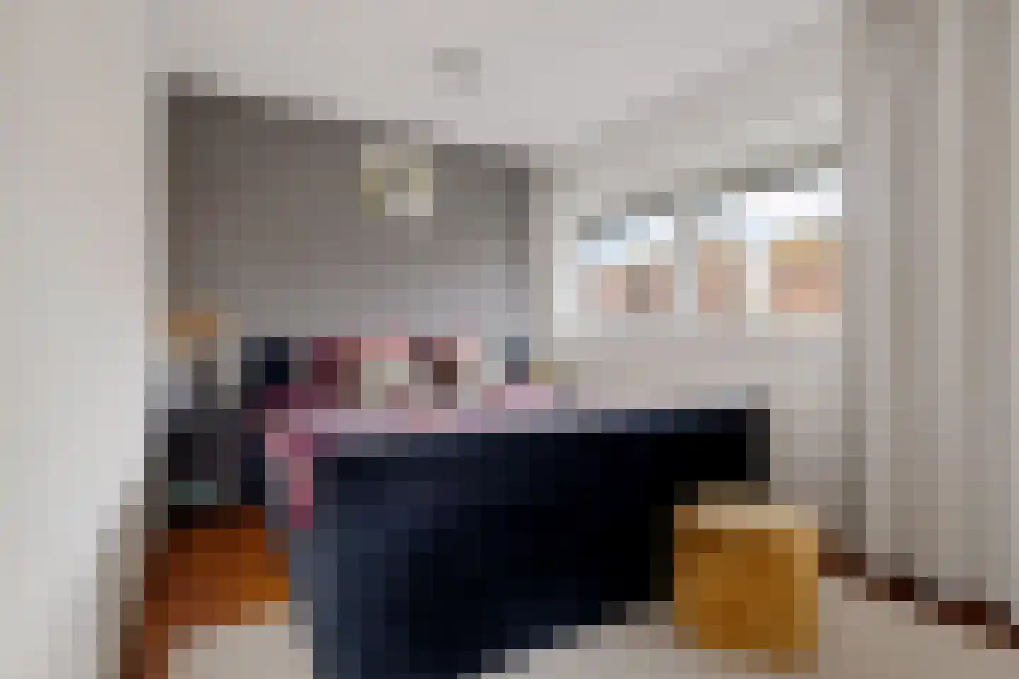 Veerse Meer 16 Hoofddorp thumbnail 14