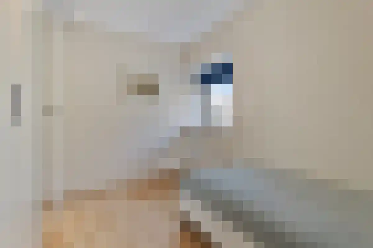 Veerse Meer 31 Hoofddorp thumbnail 24