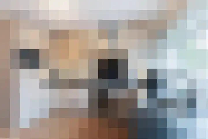 Veerse Meer 34 Hoofddorp thumbnail 4