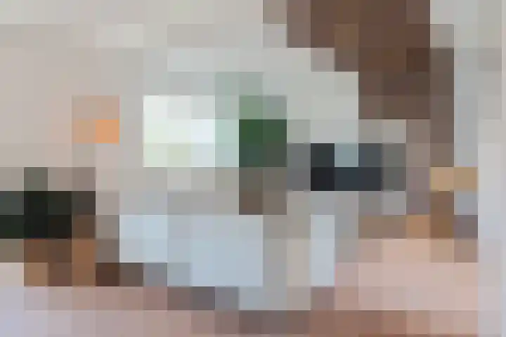 Veerse Meer 37 Hoofddorp thumbnail 10