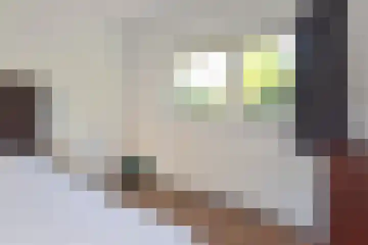 Veerse Meer 37 Hoofddorp thumbnail 22