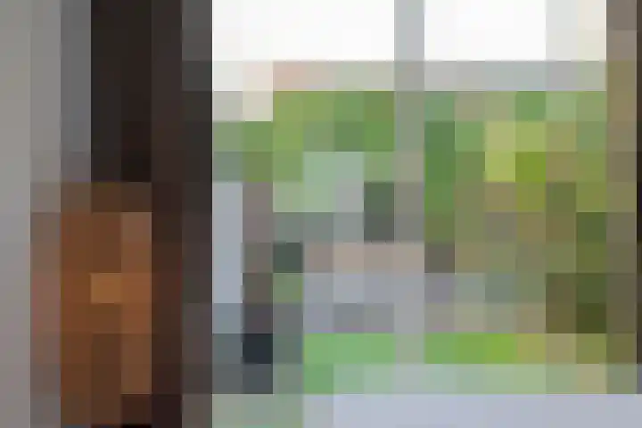 Veerse Meer 37 Hoofddorp thumbnail 23