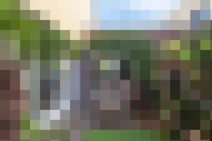 Veerse Meer 37 Hoofddorp thumbnail 24