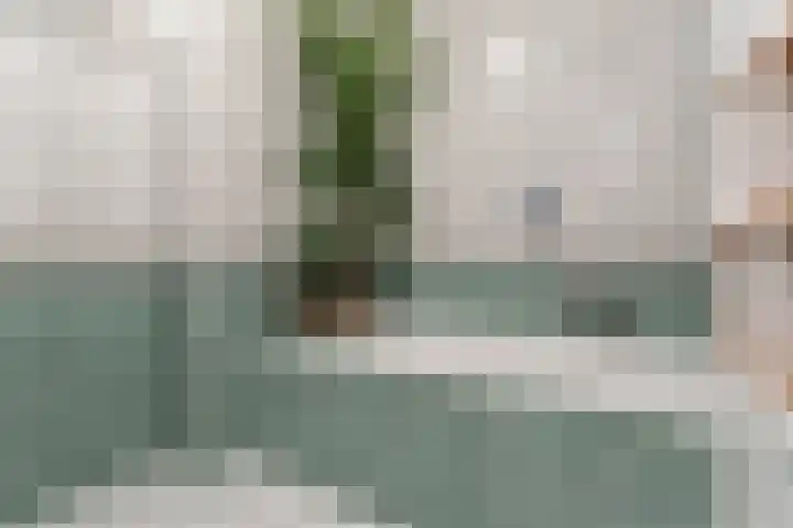 Veerse Meer 37 Hoofddorp thumbnail 25
