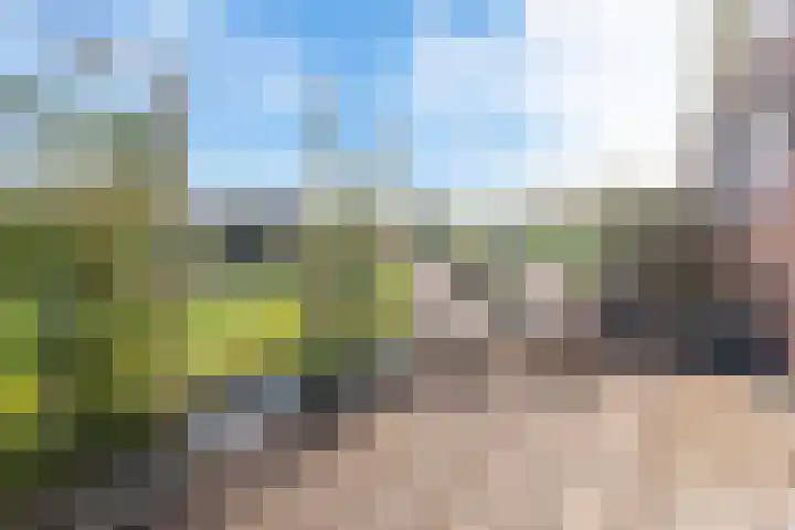 Veerse Meer 37 Hoofddorp thumbnail 42