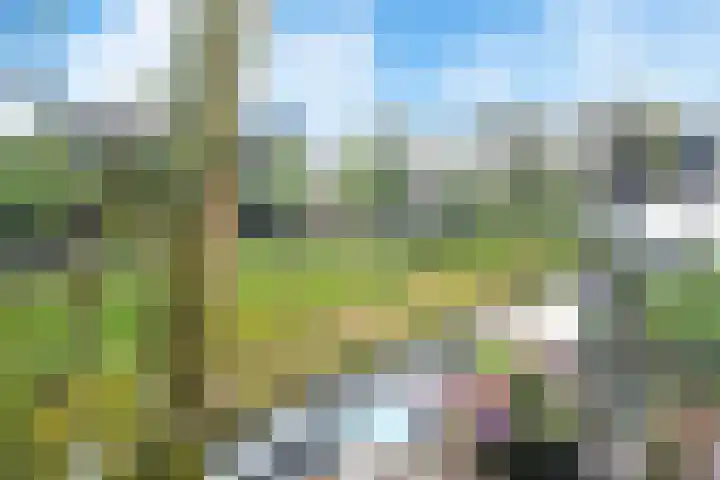 Veerse Meer 37 Hoofddorp thumbnail 44