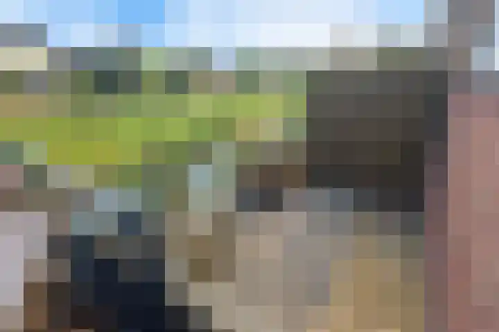 Veerse Meer 37 Hoofddorp thumbnail 45