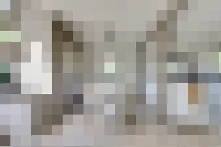 Veerse Meerdreef 20 Kortgene thumbnail 10