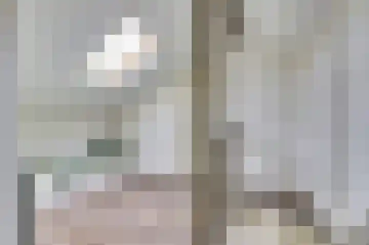 Veerse Meerdreef 20 Kortgene thumbnail 19